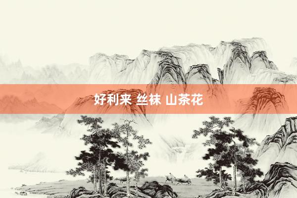 好利来 丝袜 山茶花
