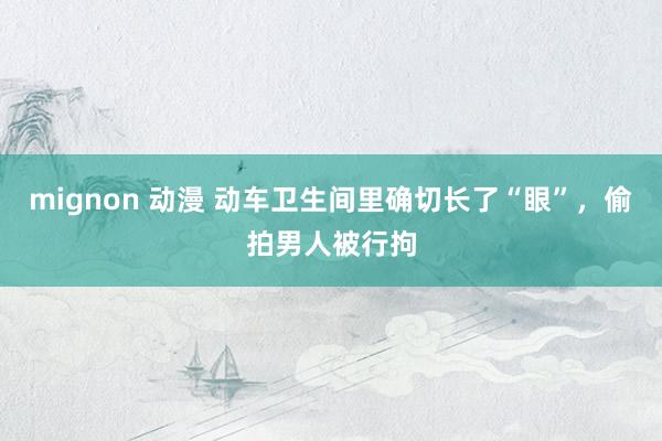 mignon 动漫 动车卫生间里确切长了“眼”，偷拍男人被行拘