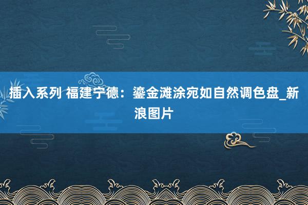 插入系列 福建宁德:鎏金滩涂宛如自然调色盘_新浪图片