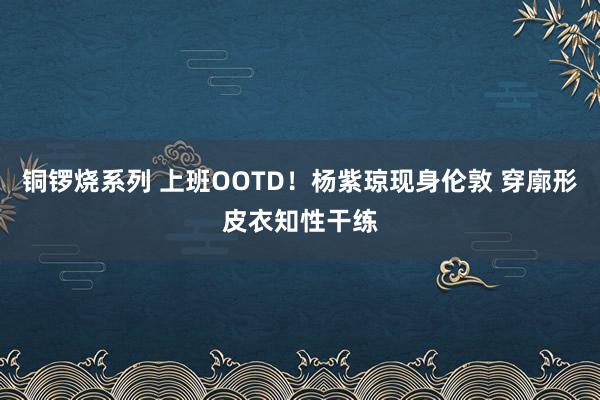 铜锣烧系列 上班OOTD!杨紫琼现身伦敦 穿廓形皮衣知性干练