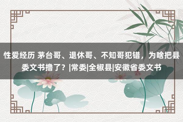 性爱经历 茅台哥、退休哥、不知哥犯错，为啥把县委文书撸了？|常委|全椒县|安徽省委文书
